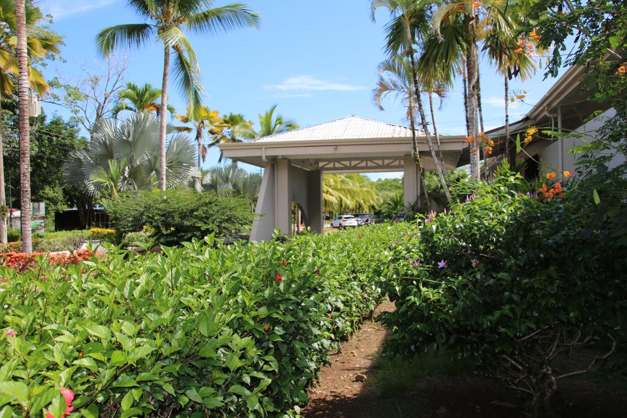 Family 2bd Near Quepos/manuel Antonio Apartment