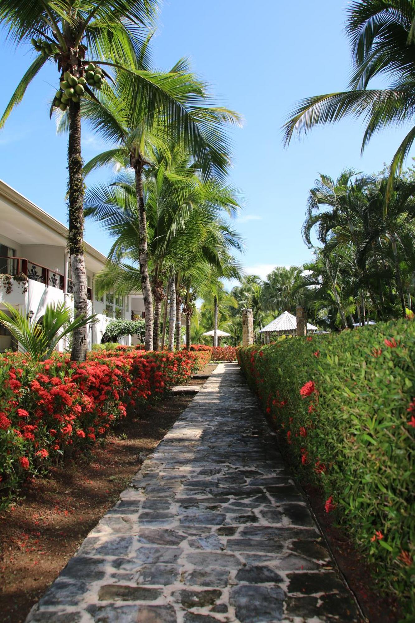Family 2bd Near Quepos/manuel Antonio Apartment *